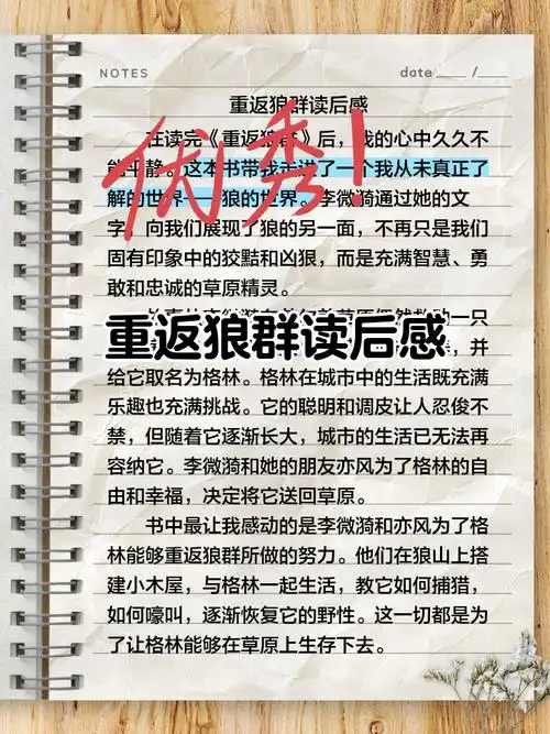 NBA休赛期暗流涌动！森林狼腾空间后紧盯怀特墨菲，中国体育迷更关注这些